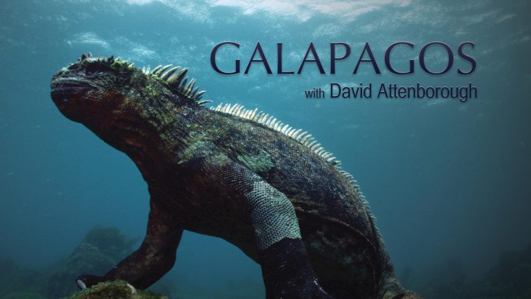 Galapagos_poster1