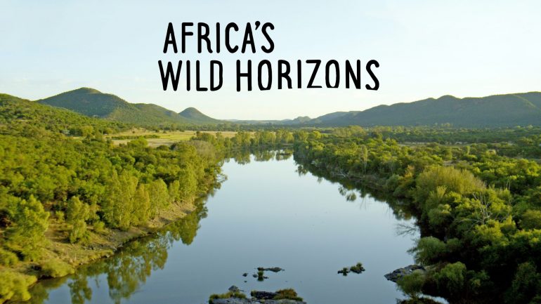 Africa's Wild Horizons
